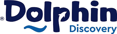 Cliente destacado: Dolphin Discovery